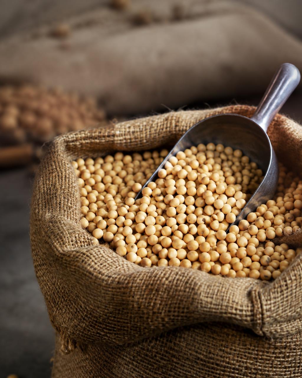Soybeans